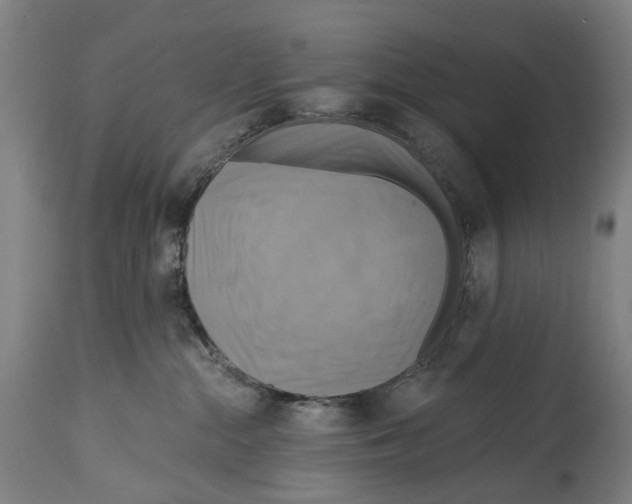 X0000114420284200911131457