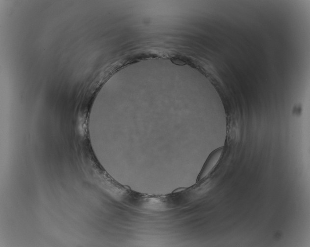 X0000114420285200911131457