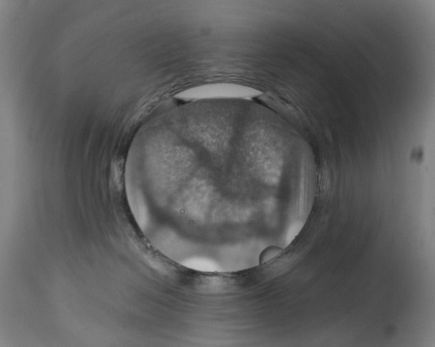 X0000114420286200911131457