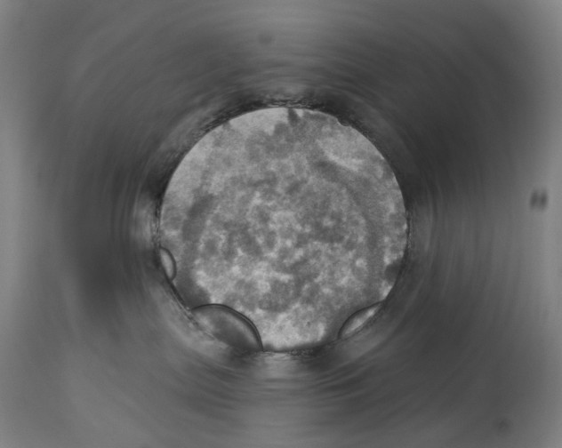 X0000114420287200911131457