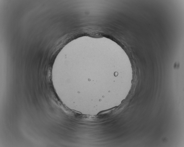 X0000114420288200911131458