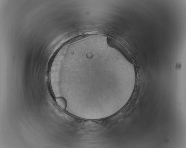 X0000114420290200911131457