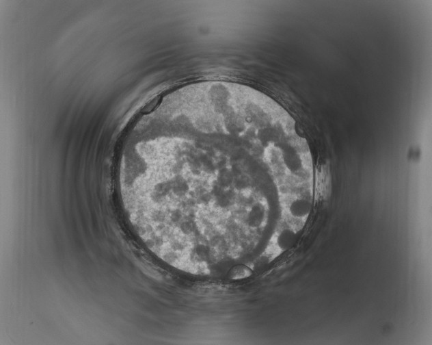 X0000114420291200911131457