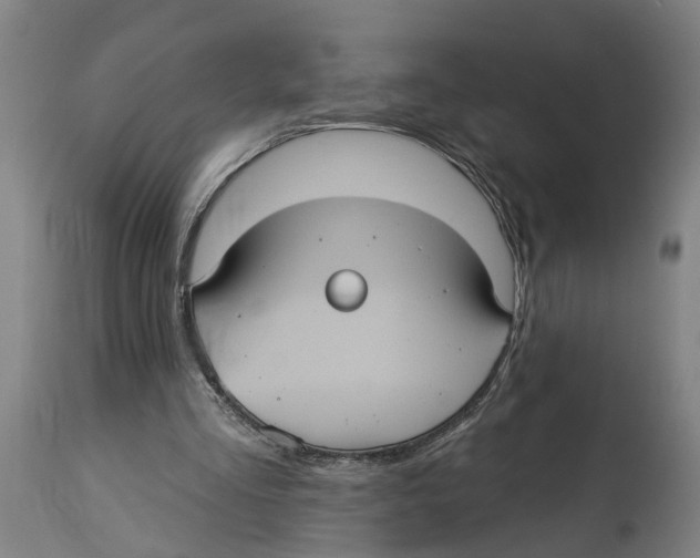 X0000114420293200911131457