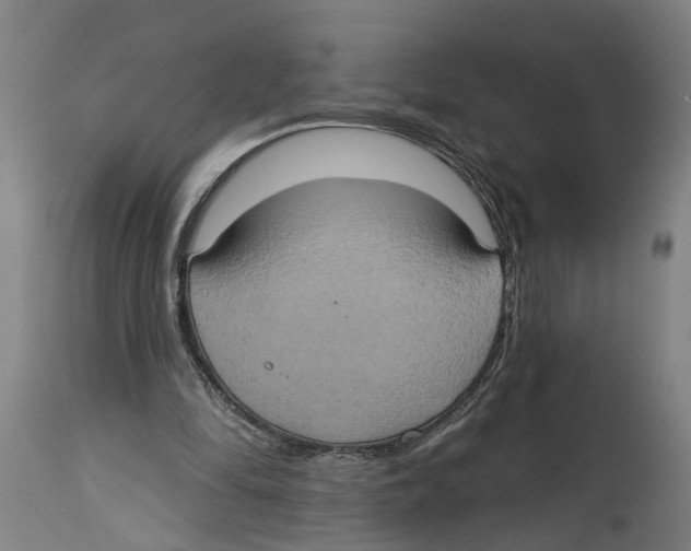 X0000114420294200911131457