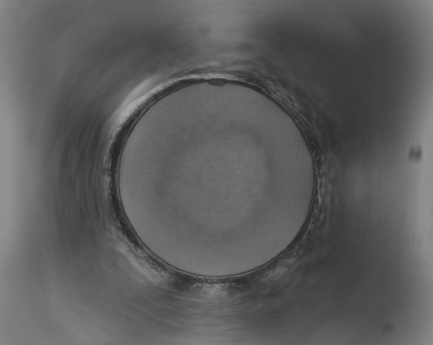 X0000114420295200911131457