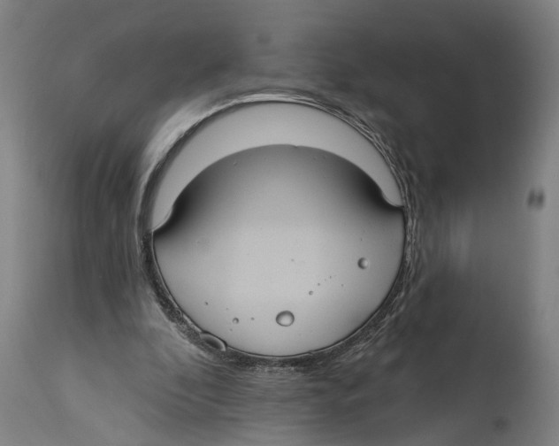 X0000114420296200911131457