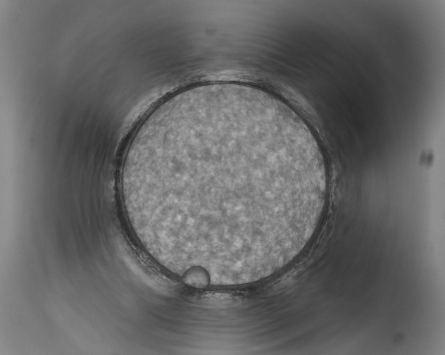 X0000114420298200911131457