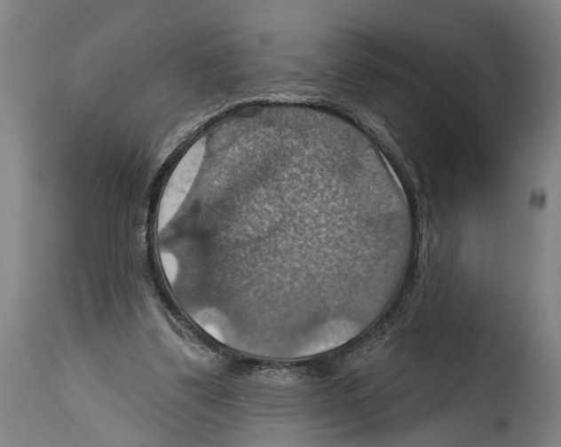 X0000114420299200911131457