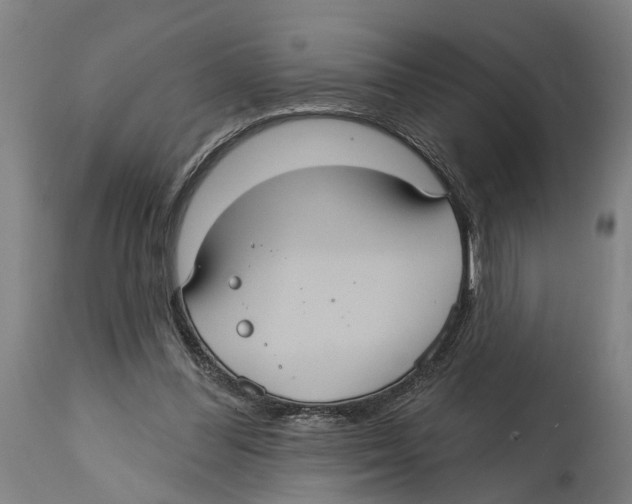 X0000114420300200911131457