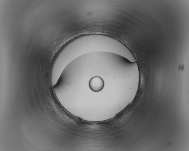 X0000114420301200911131457