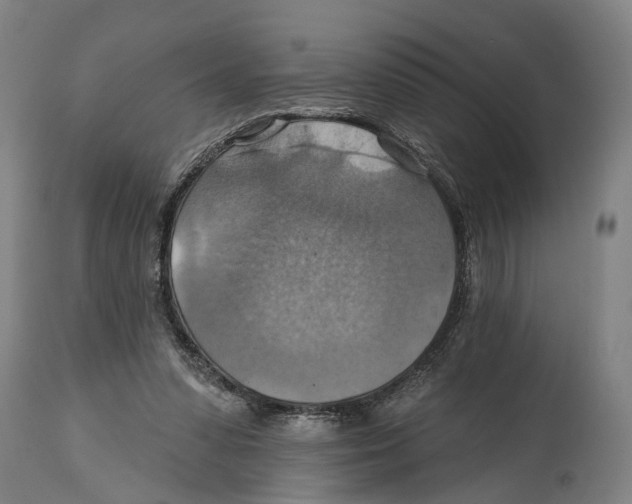 X0000114420303200911131456