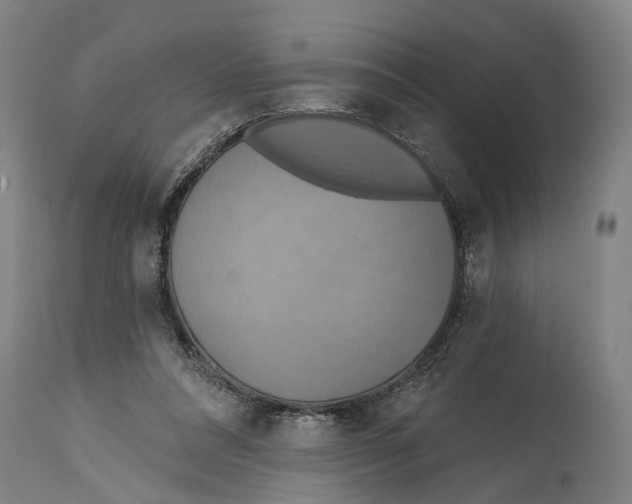 X0000114420304200911131456