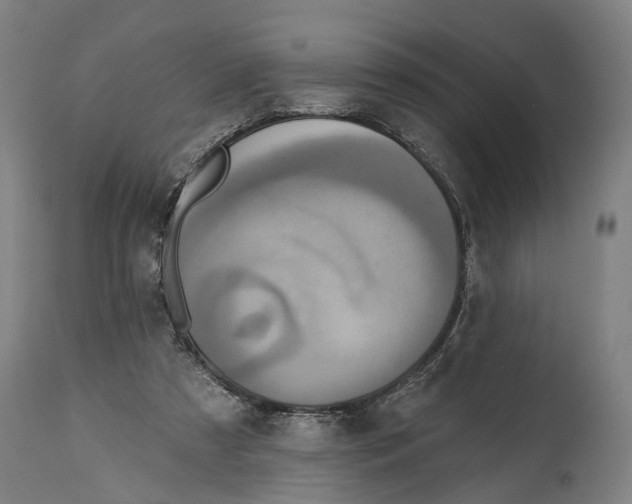 X0000114420305200911131456