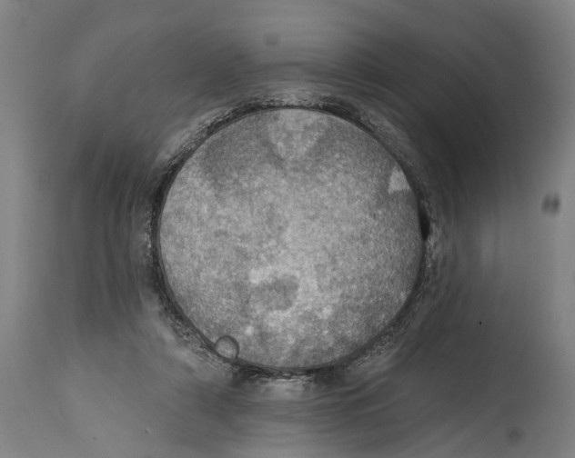 X0000114420306200911131456