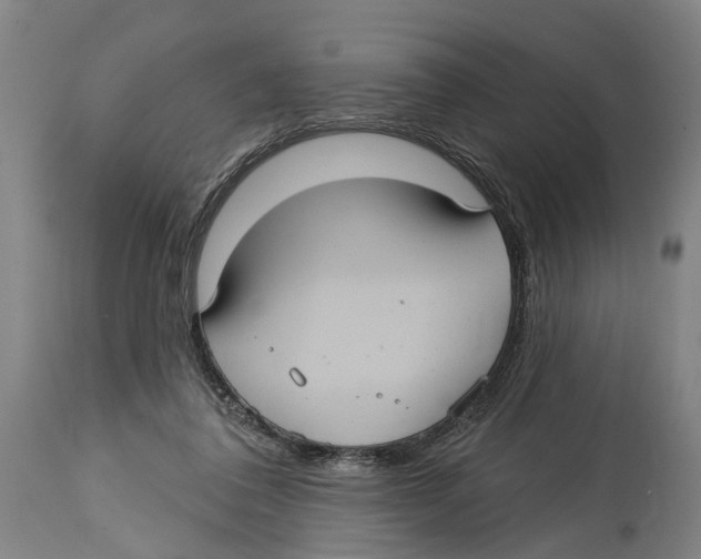 X0000114420308200911131456