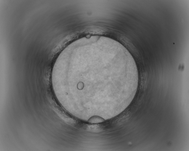 X0000114420309200911131456