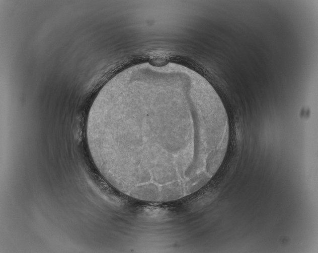 X0000114420311200911131456