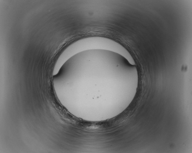 X0000114420312200911131456