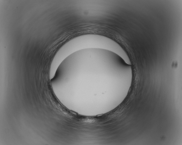 X0000114420313200911131456