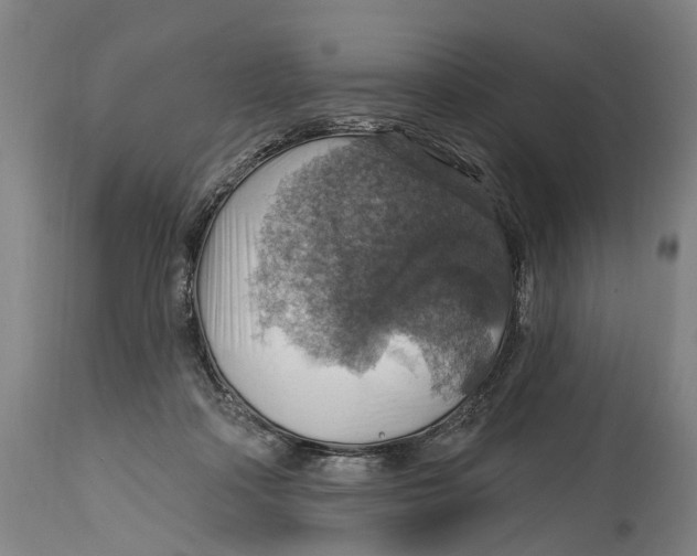 X0000114420314200911131456