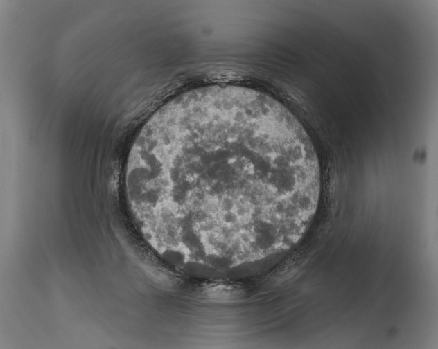 X0000114420315200911131456