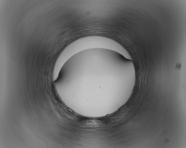 X0000114420316200911131456