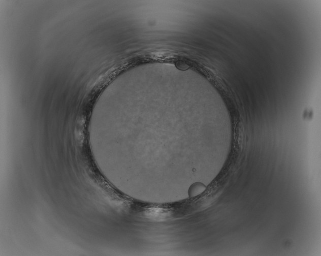 X0000114420319200911131456