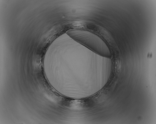 X0000114420320200911131456