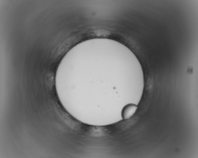 X0000114420321200911131456