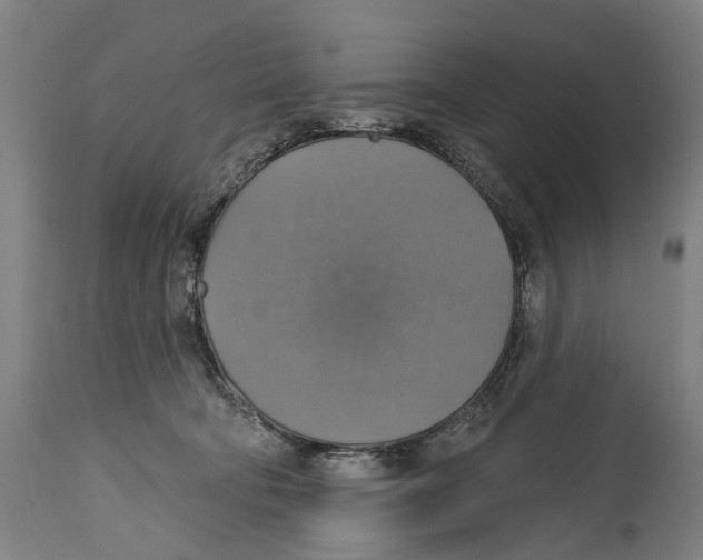 X0000114420322200911131456