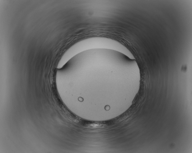 X0000114420323200911131456