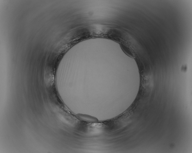 X0000114420324200911131456