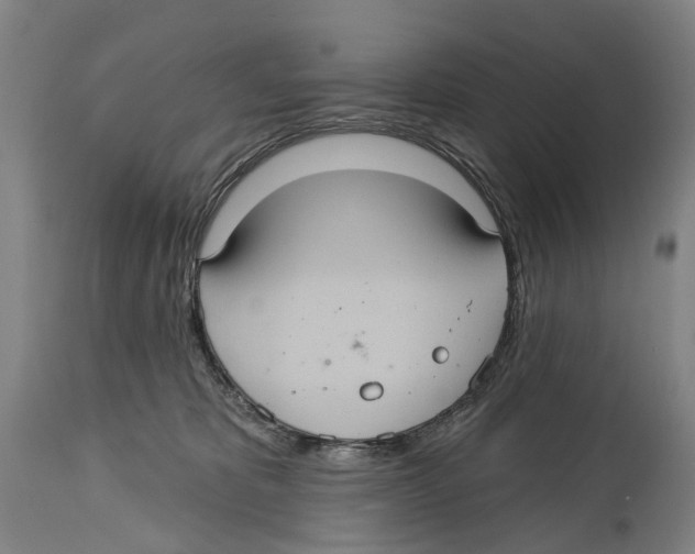 X0000114420325200911131456