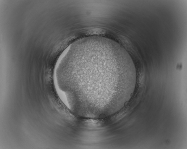 X0000114420326200911131456