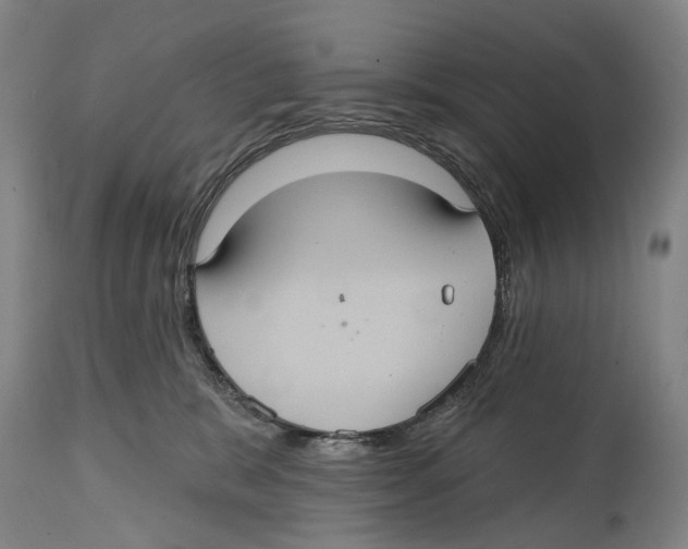 X0000114420327200911131456