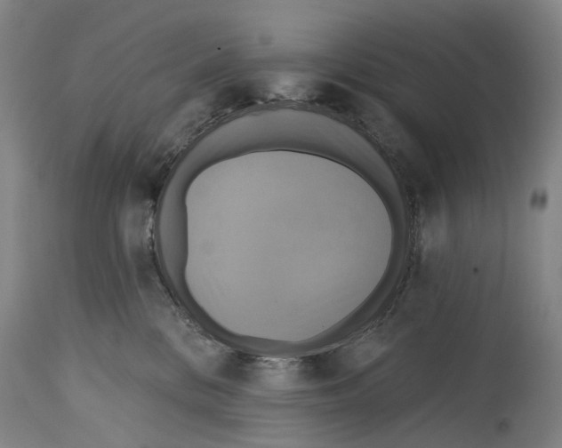 X0000114420328200911131456