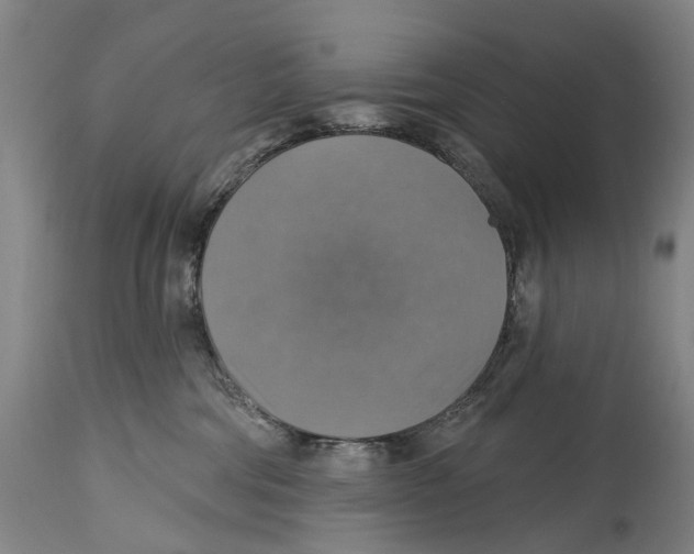 X0000114420330200911131456