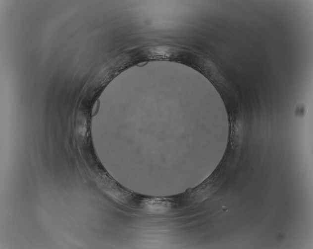 X0000114420331200911131456