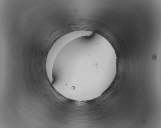 X0000114420333200911131456