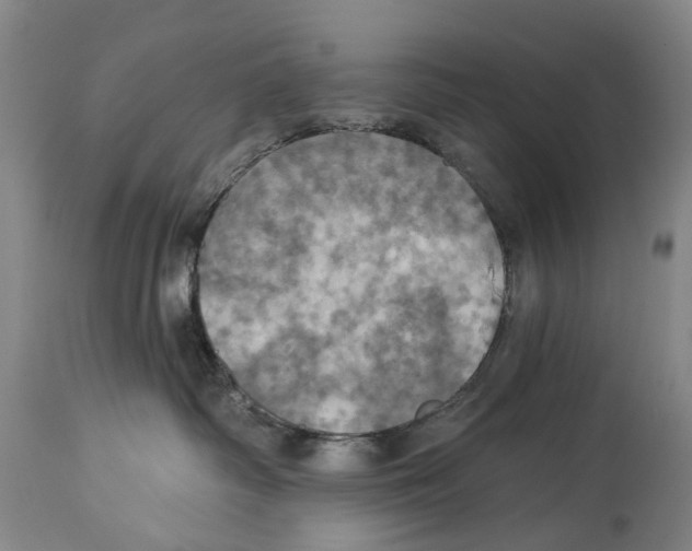 X0000114420334200911131456