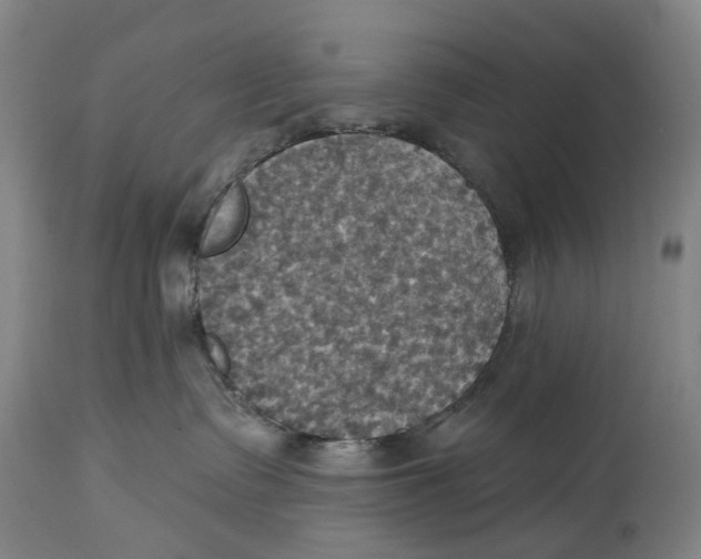 X0000114420335200911131456