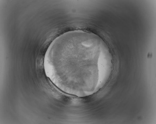 X0000114420336200911131456