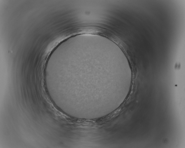 X0000114420337200911131455