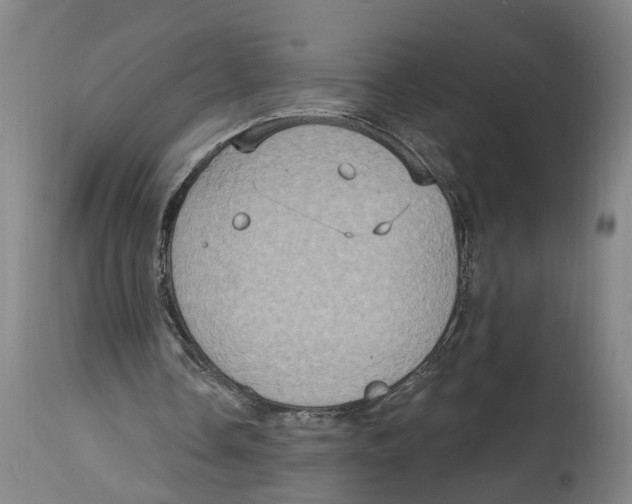 X0000114420338200911131455