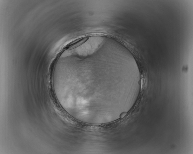 X0000114420339200911131455