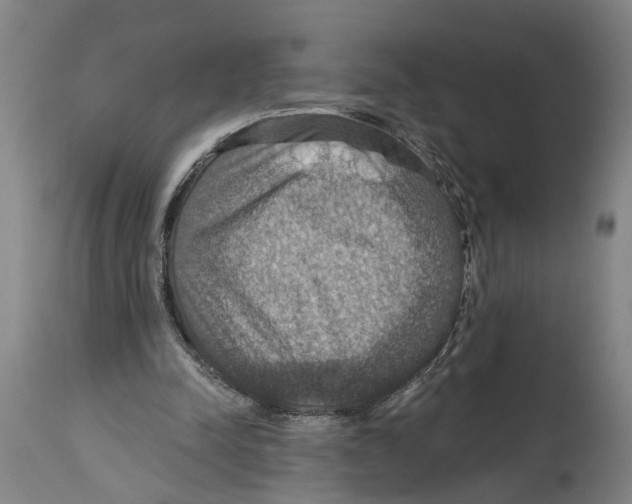 X0000114420342200911131455