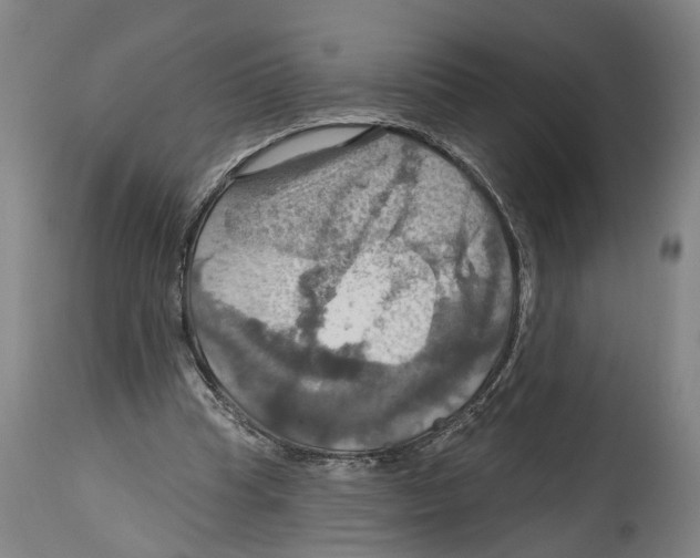 X0000114420345200911131455