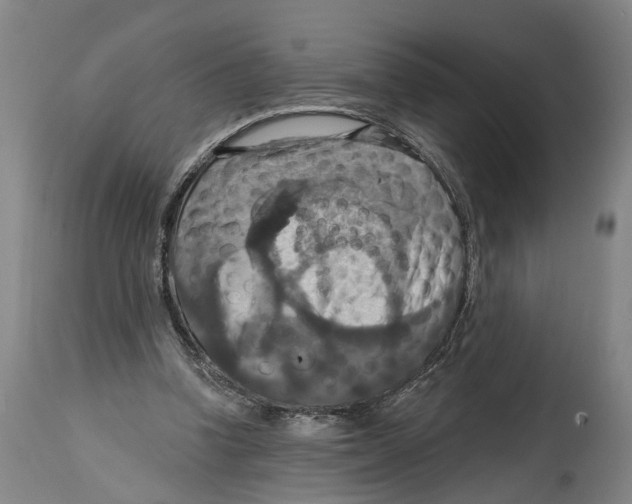 X0000114420346200911131455