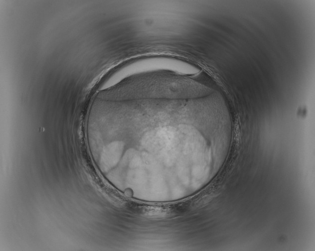 X0000114420347200911131455